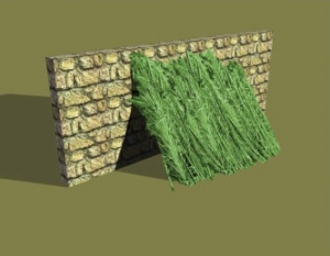 Sukka leaning against a wall