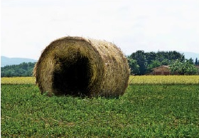 Hollowed-out haystack